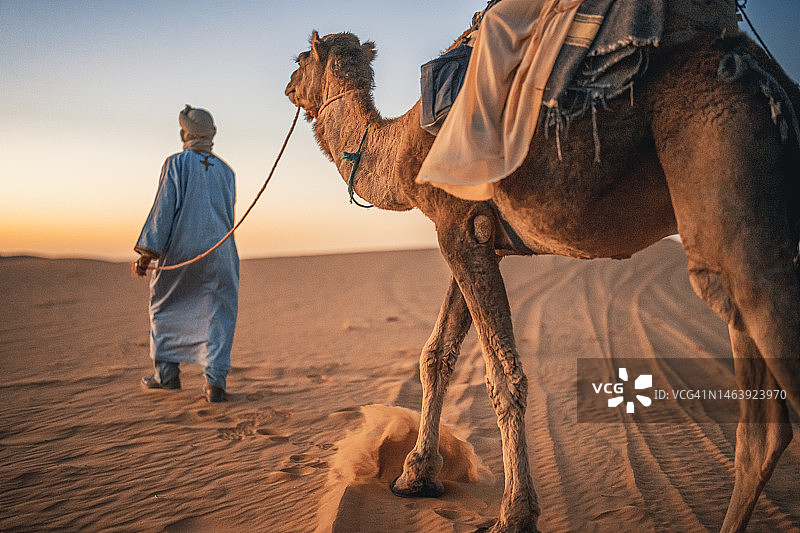 摩洛哥骆驼司机带领中国女游客穿越撒哈拉沙漠图片素材