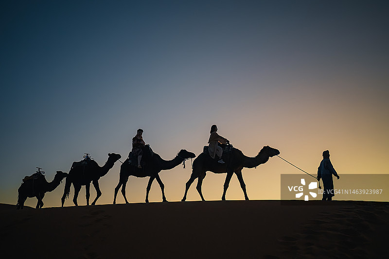 夕阳下，导游带领的撒哈拉沙漠骆驼队上的游客剪影图片素材