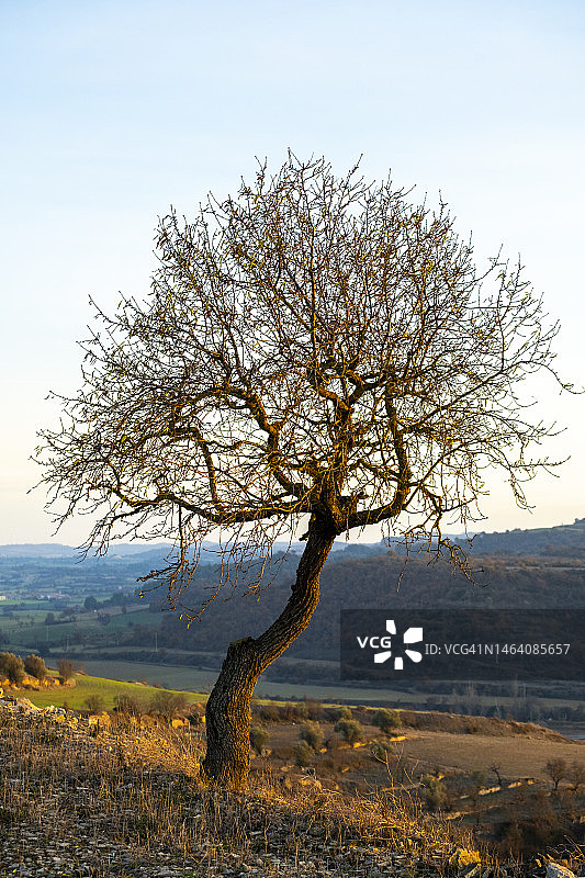 日落时分的山坡图片素材