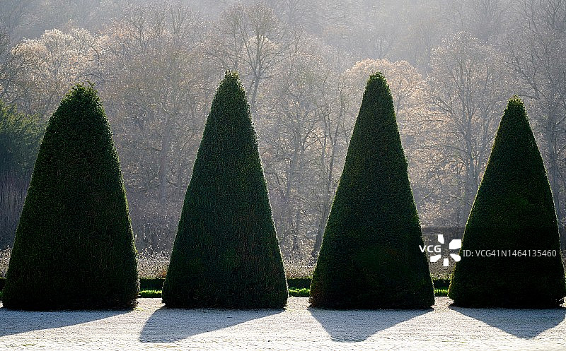 锥形绿植图片素材
