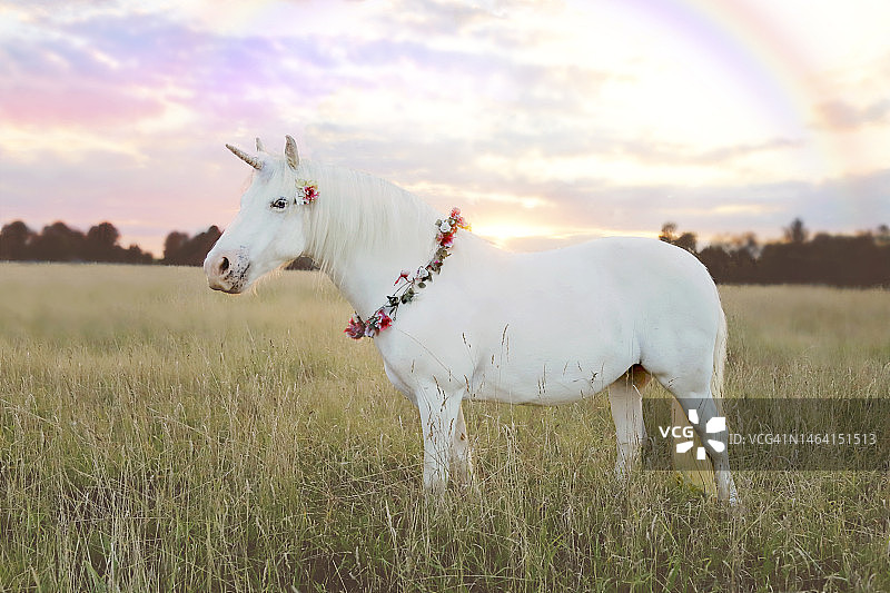 独角兽图片素材