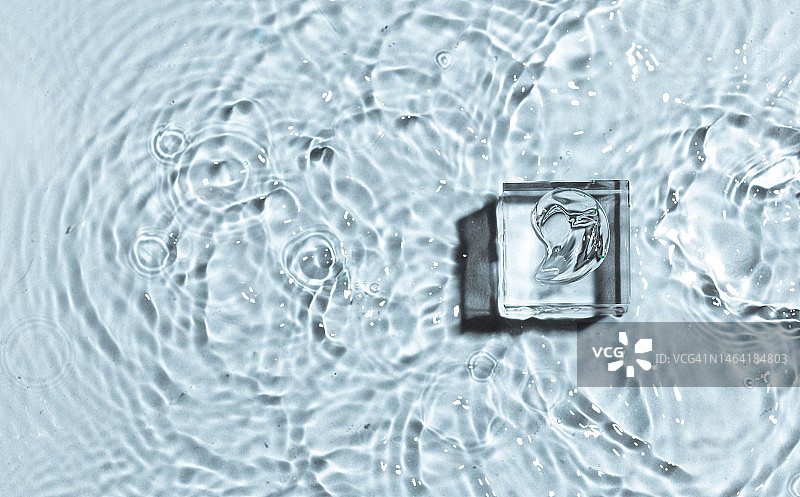 水背景玻璃台上透明凝胶色板概念图片素材