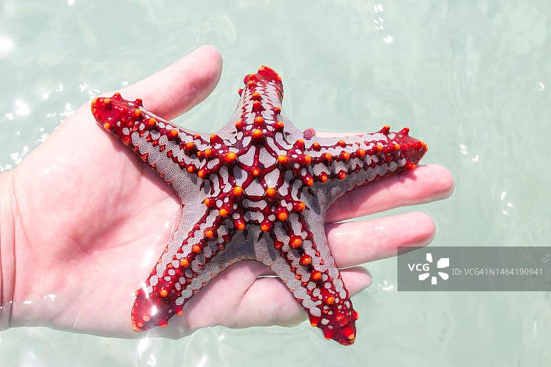 印度尼西亚巴厘岛的自然风光图片素材