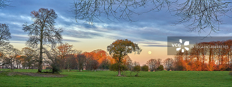 英国斯托顿秋季天空下的田野树木图片素材