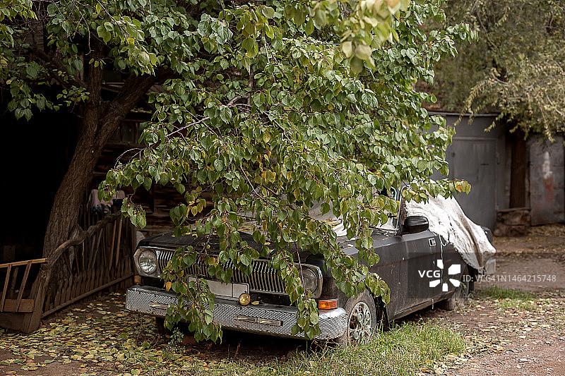 庭院树荫下的老汽车图片素材