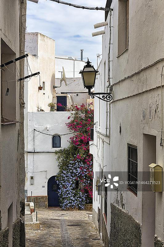 西班牙安达卢西亚阿尔梅里亚莫哈卡尔老城鲜花小巷图片素材