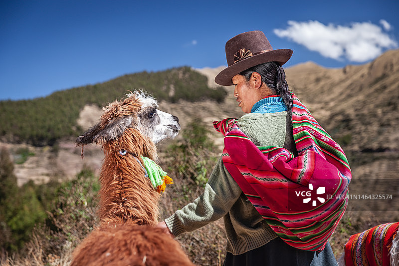 穿着民族服装的秘鲁妇女在库斯科附近与美洲驼合影图片素材