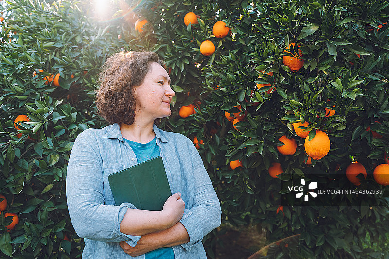 采摘后站在橘子树旁，手持平板的满意女商人图片素材