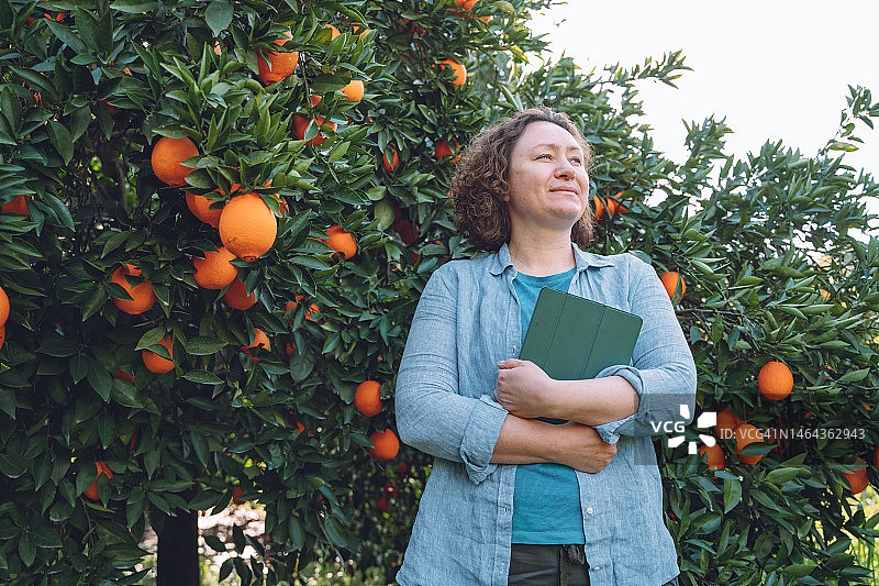 快乐的女人拿着平板电脑站在橘子树旁，在果园里呼吸新鲜空气图片素材