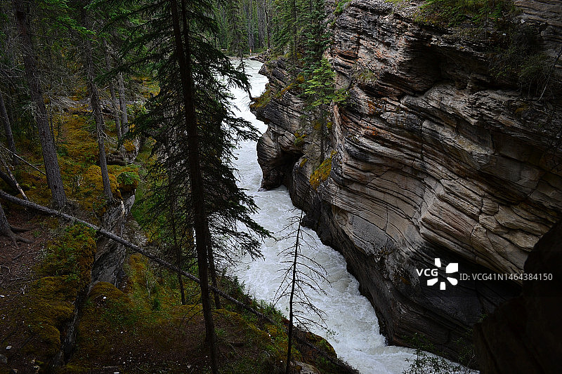 加拿大贾斯珀国家公园的阿萨巴斯卡瀑布图片素材