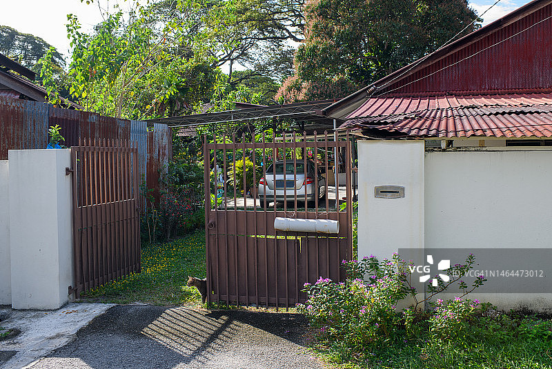 可爱的年轻虎斑猫在户外探索图片素材