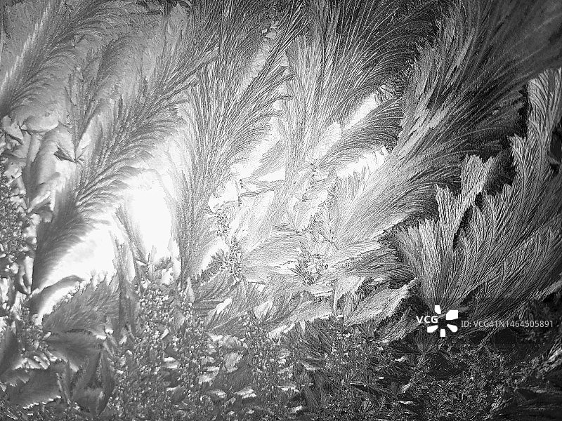 加拿大安大略省埃利奥特湖，汽车上的霜花图案特写图片素材