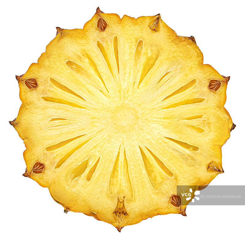 白色背景下的菠萝切片图片素材