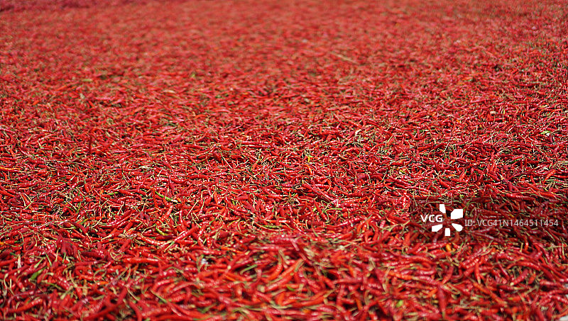 红色辣椒特写，印度图片素材