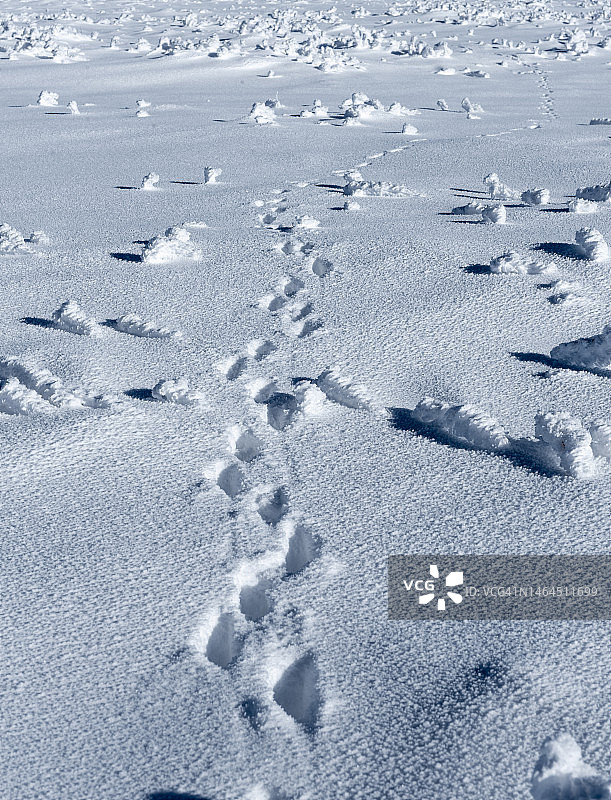 保加利亚维托沙的雪景高角度照片图片素材