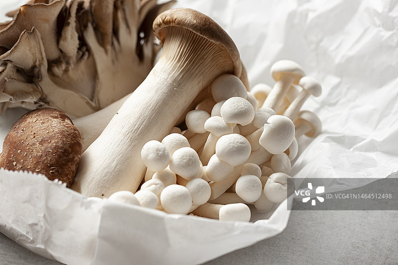 杏鲍菇，海鲜菇，灰树花在白纸背景上，圣地亚哥，加利福尼亚州，美国图片素材