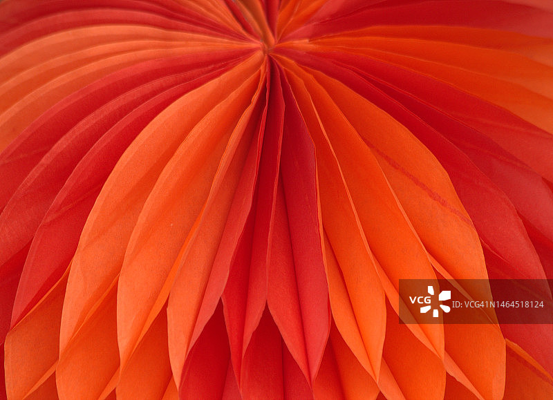 橙色花朵特写，昆迪纳马卡，哥伦比亚图片素材