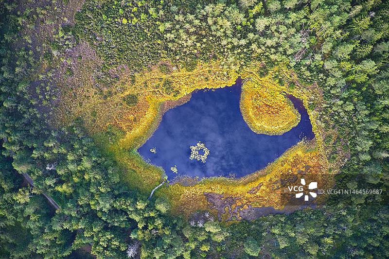 德国巴伐利亚基姆高森林深处的小型湖泊航拍：深蓝色湖水与黄色岸边植被图片素材