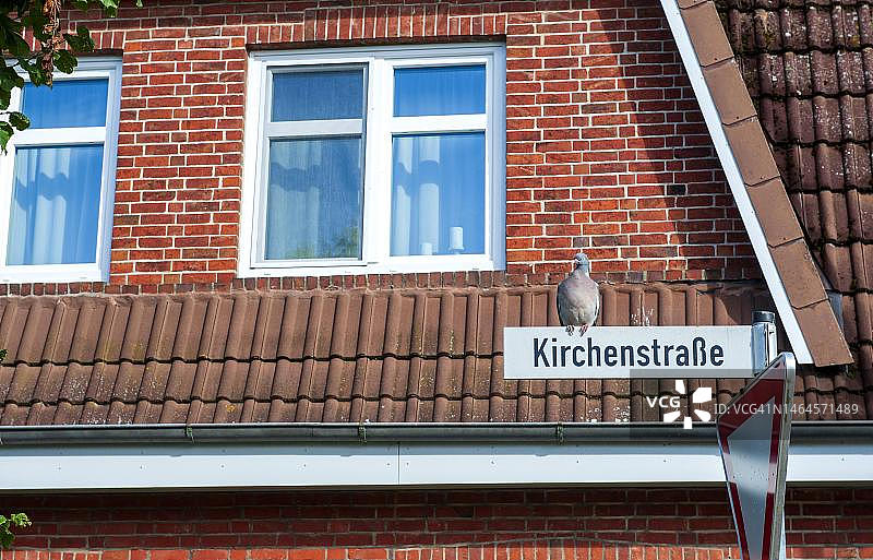 停在德国下萨克森州库克斯港区奥斯特河畔格弗斯多夫基尔兴大街路牌上的鸽子图片素材