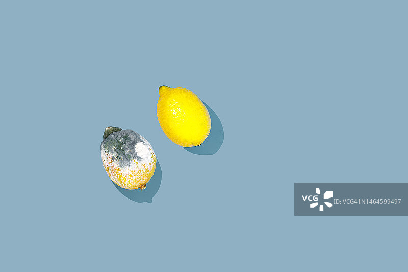 蓝色背景上的柠檬和发霉的柠檬图片素材