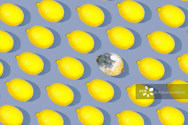 蓝色背景上的重复柠檬图案（含霉变柠檬）图片素材