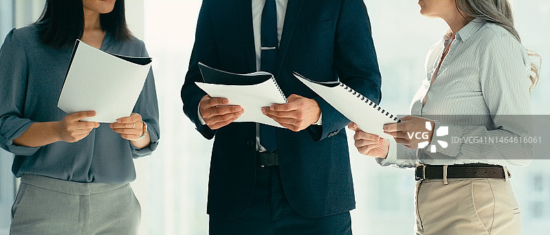 文件和商务人士规划战略、公司投资组合和财务管理。企业团队、专业员工或财务报告，会计和收入图片素材