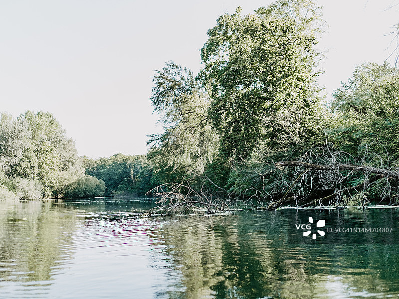 陶伯吉森自然保护区，德国莱茵河图片素材