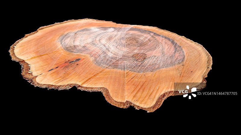 黑色背景下的树桩特写，德国图片素材