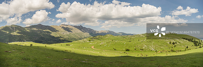 意大利亚平宁山脉的马群图片素材