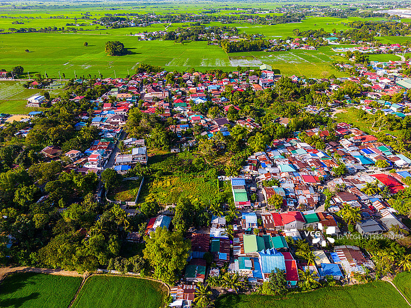 菲律宾邦板牙阿帕利特的稻田图片素材