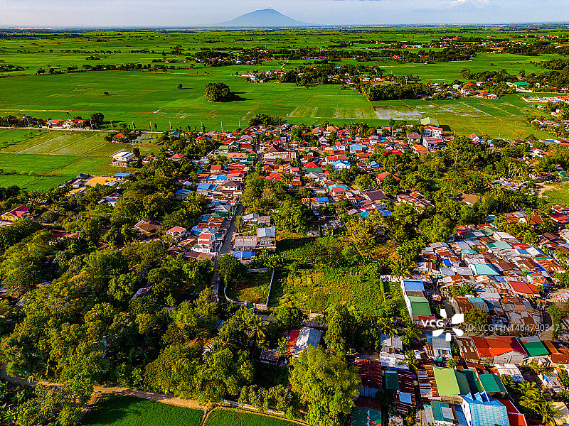 菲律宾邦板牙阿帕利特的稻田图片素材