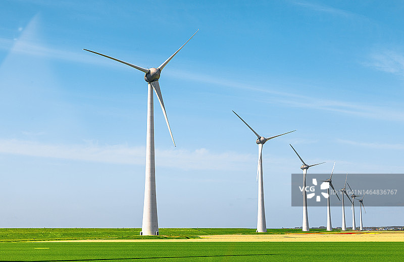 荷兰北部风力涡轮机和郁金香花田图片素材