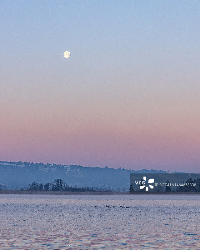 科赫尔湖黎明时的满月图片素材