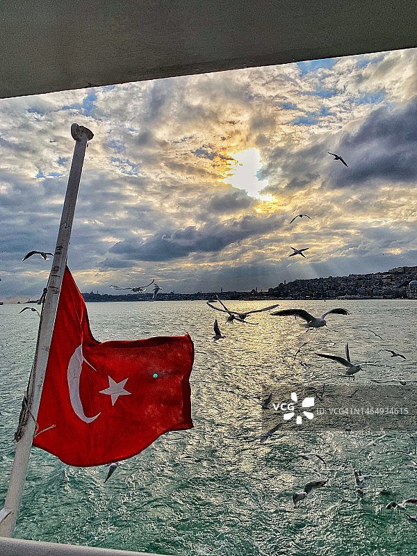 伊  斯  坦  布  尔  游  船  上  的  土  耳  其  国  旗  和  鸟图片素材