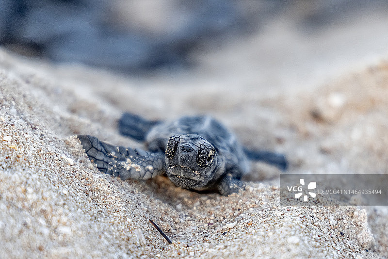 千分之一图片素材