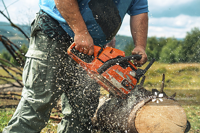 男人用油锯锯树图片素材