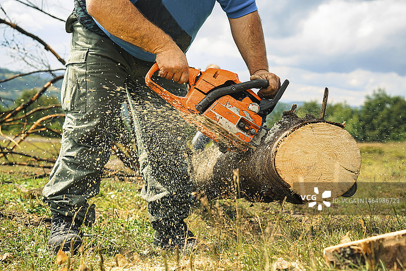 男人用油锯锯树图片素材