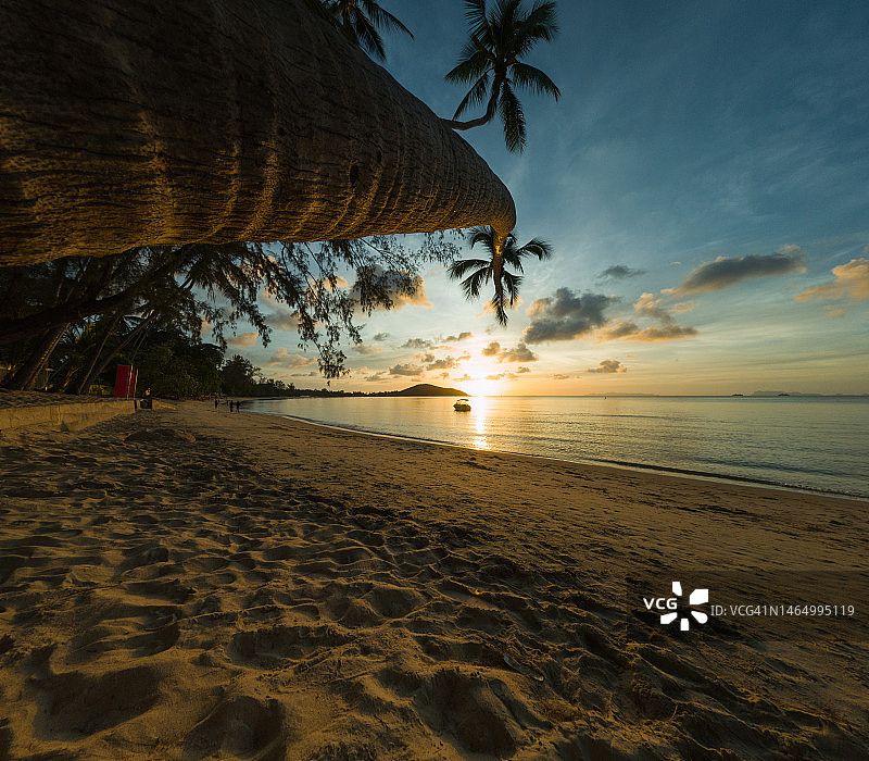 日落时分，海滩、山脉和船只旁的倾斜椰子树图片素材