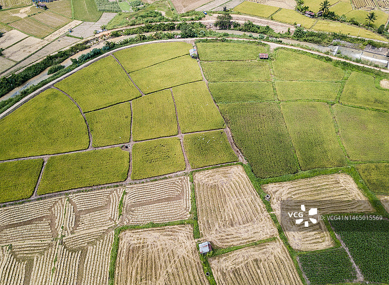 泰国楠府玉米种植区稻田鸟瞰图图片素材