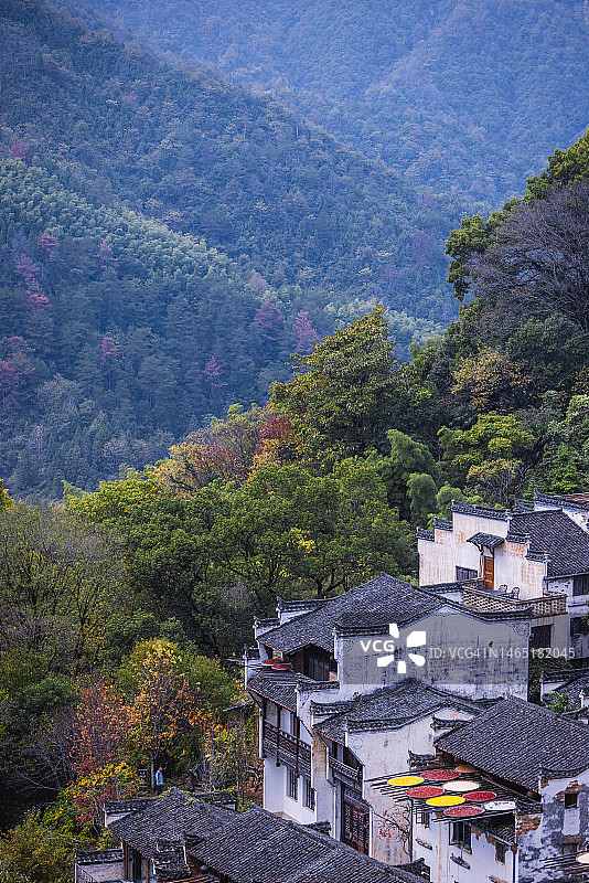 江西省篁岭旅游度假区的秋色图片素材