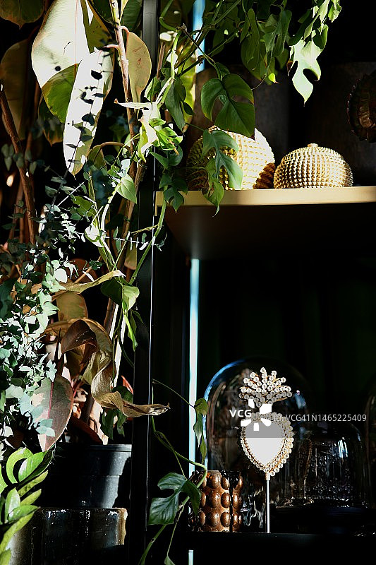 波西米亚风情场所图片素材