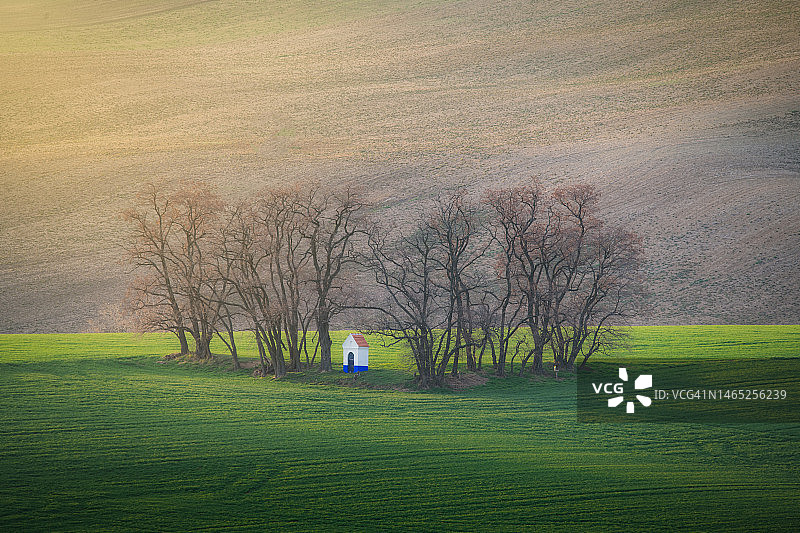 南摩拉维亚地区，捷克，春天盛开的绿色山丘与小教堂图片素材
