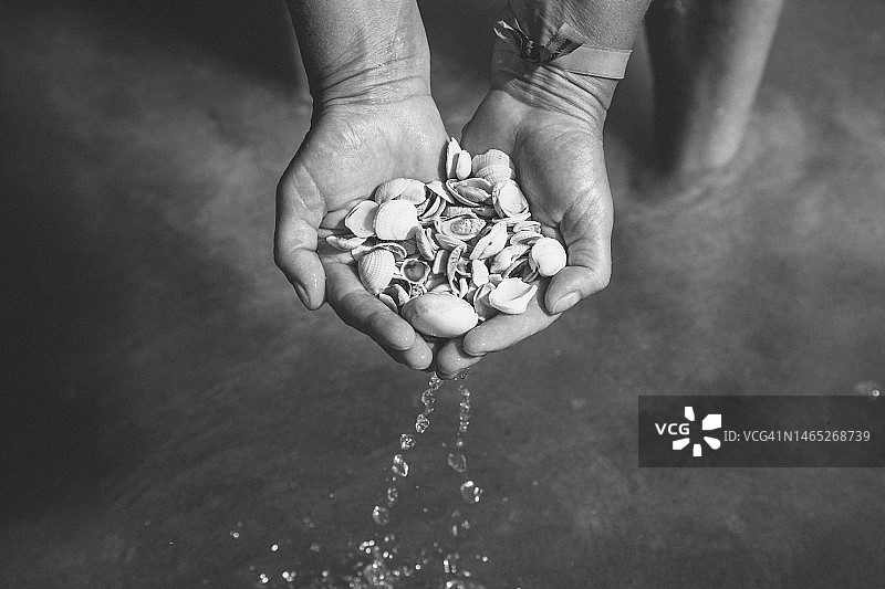 女人在海滩上捡贝壳图片素材