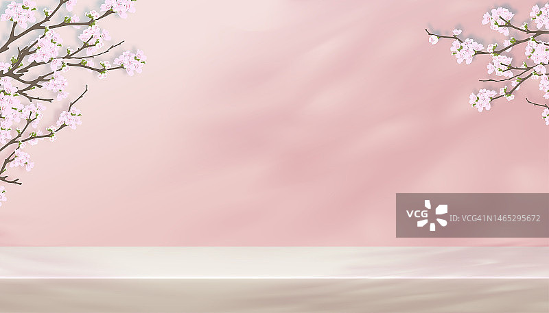 带有3D讲台的产品背景，粉红色墙壁上的樱花或春花，带有樱花树枝光影的地平线房间工作室场景，春季，夏季演示的矢量背景banner图片素材