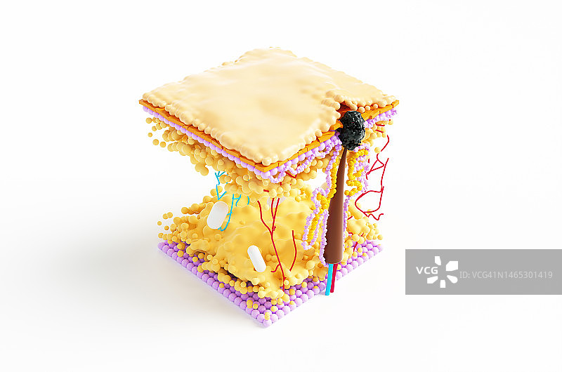 旧皮脂黑点毛发角质层抽象显微镜模型图片素材