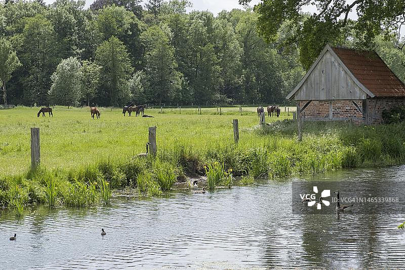 明斯特，哈维克斯贝克，明斯特兰，德国北莱茵-威斯特法伦州图片素材