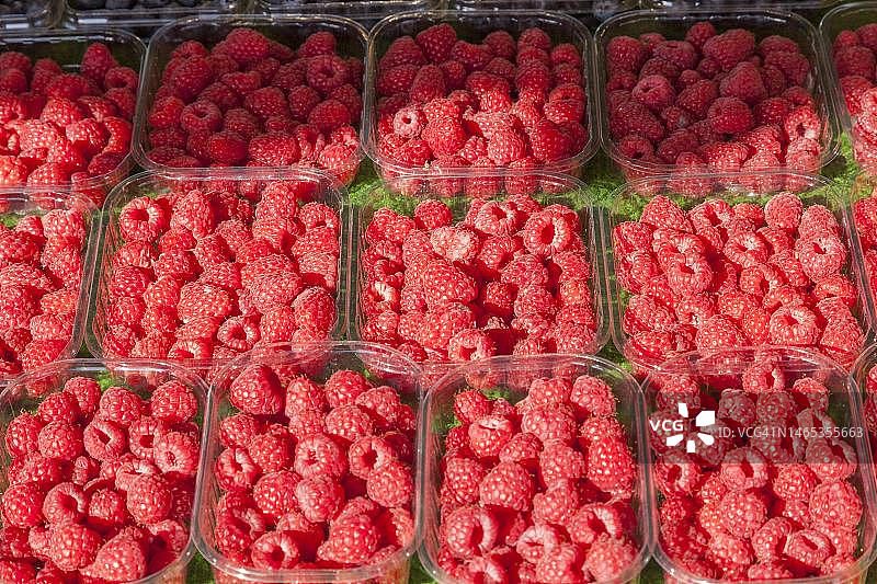 德国北莱茵-威斯特法伦明斯特兰明斯特当地农贸市场上的覆盆子图片素材