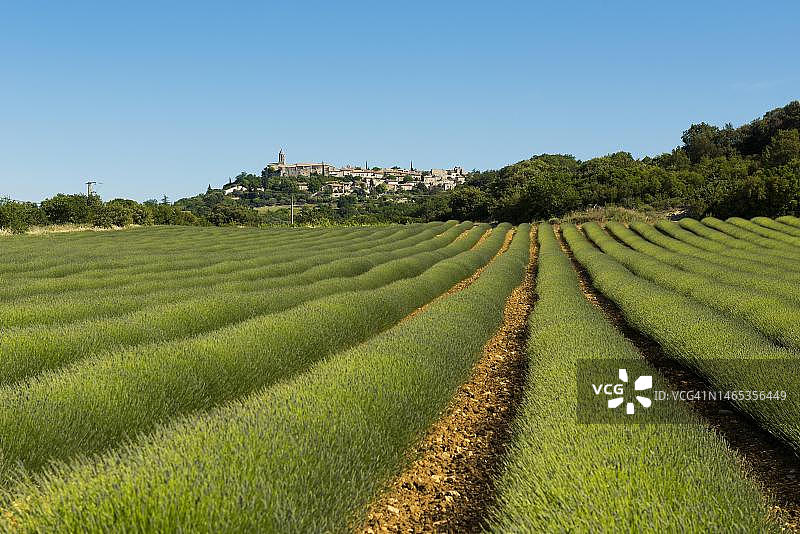法国德龙省拉加德-阿德马尔中世纪村庄和薰衣草田图片素材