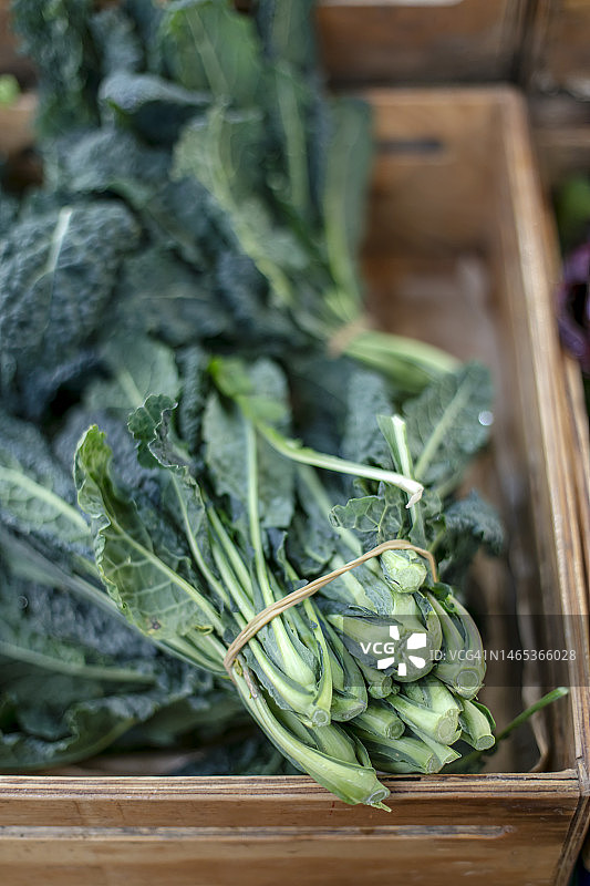 羽衣甘蓝叶图片素材