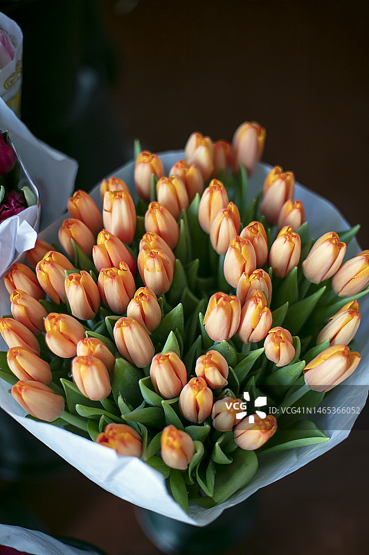 橙色郁金香花束图片素材